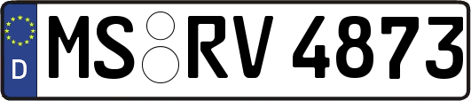 MS-RV4873