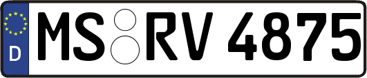 MS-RV4875