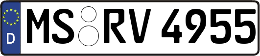 MS-RV4955