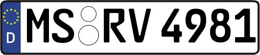 MS-RV4981