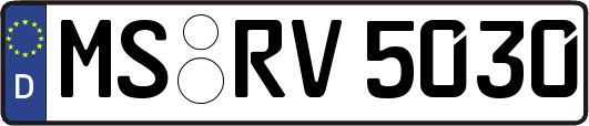 MS-RV5030
