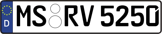 MS-RV5250