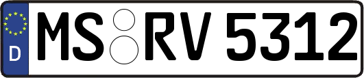 MS-RV5312