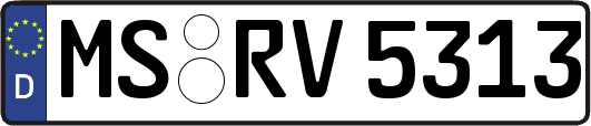 MS-RV5313