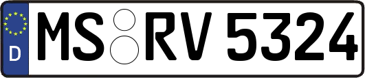 MS-RV5324