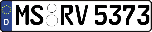 MS-RV5373