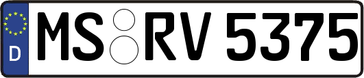 MS-RV5375