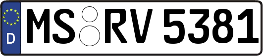 MS-RV5381
