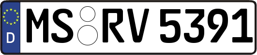 MS-RV5391