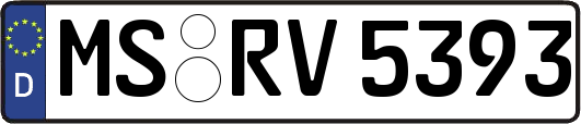MS-RV5393