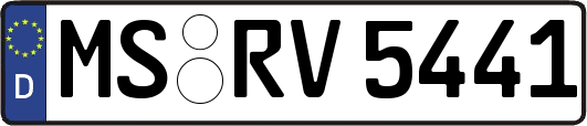 MS-RV5441