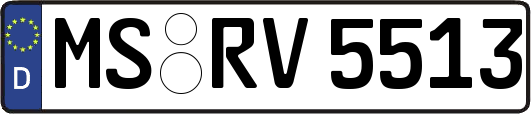 MS-RV5513