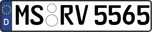 MS-RV5565