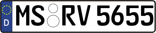 MS-RV5655