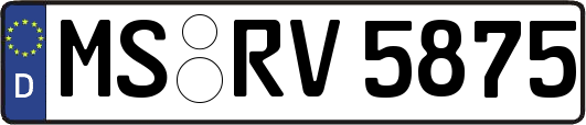 MS-RV5875