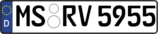 MS-RV5955