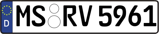 MS-RV5961