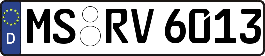 MS-RV6013