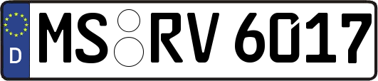 MS-RV6017
