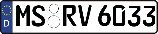 MS-RV6033