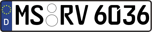 MS-RV6036