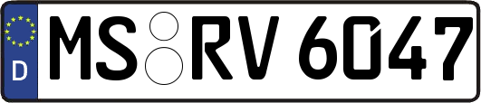 MS-RV6047
