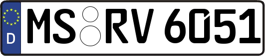 MS-RV6051