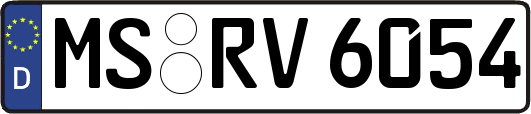 MS-RV6054