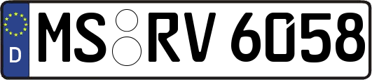 MS-RV6058