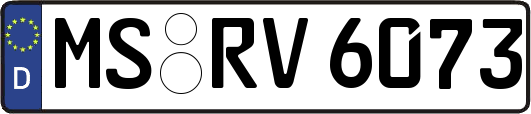 MS-RV6073