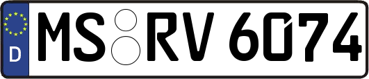 MS-RV6074