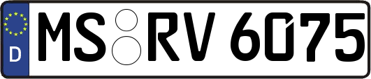 MS-RV6075