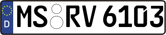 MS-RV6103
