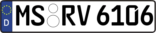 MS-RV6106