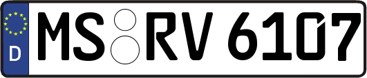 MS-RV6107