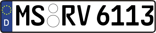 MS-RV6113