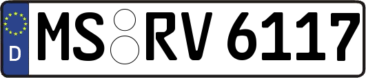MS-RV6117