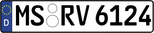 MS-RV6124