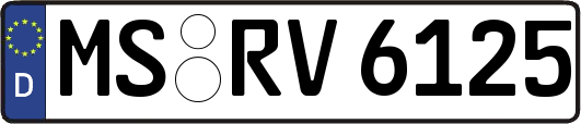 MS-RV6125