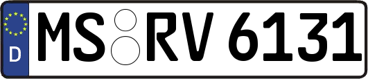 MS-RV6131