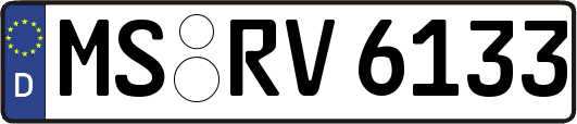 MS-RV6133