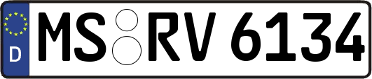MS-RV6134