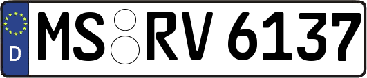 MS-RV6137