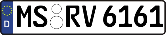 MS-RV6161