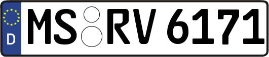 MS-RV6171
