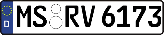 MS-RV6173