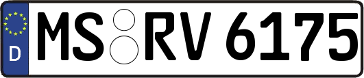 MS-RV6175