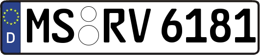 MS-RV6181