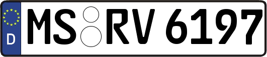 MS-RV6197