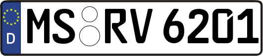 MS-RV6201